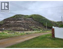 201 Huntington Park, Drumheller, AB T0J0Y6 Photo 40