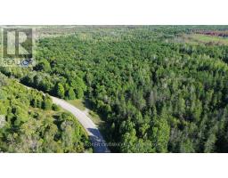 624 Snowdons Corners Road, Merrickville Wolford, ON K0G1N0 Photo 6