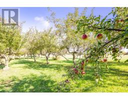 2432 Seburn Road, Thorold, ON L0S1E6 Photo 39