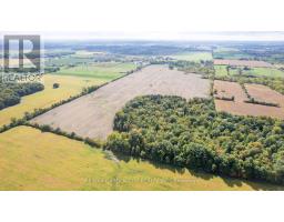 2432 Seburn Road, Thorold, ON L0S1E6 Photo 44