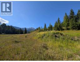 Lot A 16 Highway, Smithers, BC V0J2N0 Photo 8