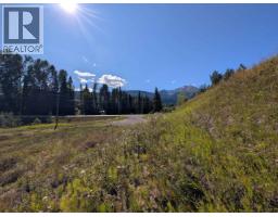 Lot A 16 Highway, Smithers, BC V0J2N0 Photo 10