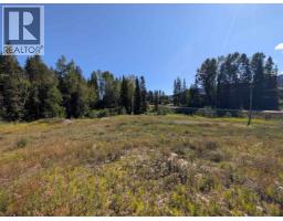Lot A 16 Highway, Smithers, BC V0J2N0 Photo 9