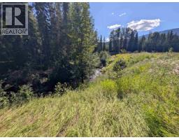 Lot A 16 Highway, Smithers, BC V0J2N0 Photo 11