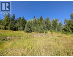 Lot A 16 Highway, Smithers, BC V0J2N0 Photo 7