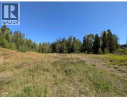 Lot A 16 Highway, Smithers, BC V0J2N0 Photo 6