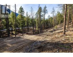 Lot A & B Trepanier Road, Peachland, BC V0H1X3 Photo 19