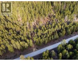 Lot A & B Trepanier Road, Peachland, BC V0H1X3 Photo 9