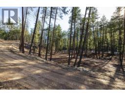 Lot A & B Trepanier Road, Peachland, BC V0H1X3 Photo 18
