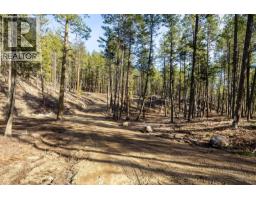 Lot A & B Trepanier Road, Peachland, BC V0H1X3 Photo 13