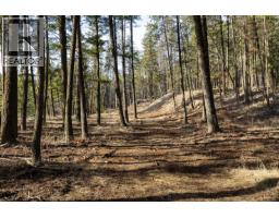Lot A & B Trepanier Road, Peachland, BC V0H1X3 Photo 60