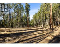 Lot A & B Trepanier Road, Peachland, BC V0H1X3 Photo 41