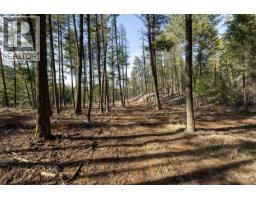 Lot A & B Trepanier Road, Peachland, BC V0H1X3 Photo 59