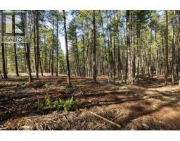 Lot A & B Trepanier Road, Peachland, BC V0H1X3 Photo 28