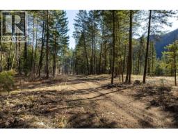 Lot A & B Trepanier Road, Peachland, BC V0H1X3 Photo 51