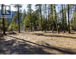 Lot A & B Trepanier Road, Peachland, BC V0H1X3 Photo 42