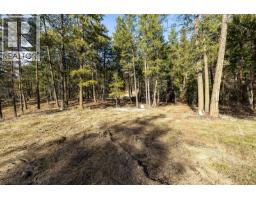 Lot A & B Trepanier Road, Peachland, BC V0H1X3 Photo 56