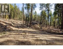 Lot A & B Trepanier Road, Peachland, BC V0H1X3 Photo 16