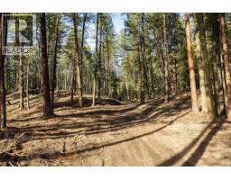 Lot A & B Trepanier Road, Peachland, BC V0H1X3 Photo 22