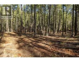 Lot A & B Trepanier Road, Peachland, BC V0H1X3 Photo 25