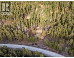 Lot A & B Trepanier Road, Peachland, BC V0H1X3 Photo 35