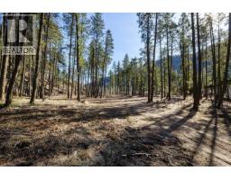 Lot A & B Trepanier Road, Peachland, BC V0H1X3 Photo 45
