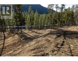 Lot A & B Trepanier Road, Peachland, BC V0H1X3 Photo 64
