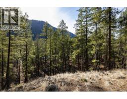 Lot A & B Trepanier Road, Peachland, BC V0H1X3 Photo 26