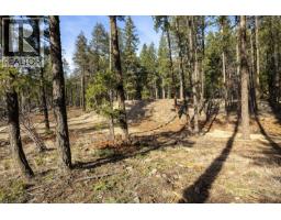 Lot A & B Trepanier Road, Peachland, BC V0H1X3 Photo 61