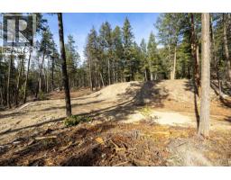 Lot A & B Trepanier Road, Peachland, BC V0H1X3 Photo 62