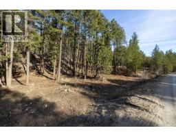 Lot A & B Trepanier Road, Peachland, BC V0H1X3 Photo 63