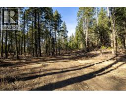 Lot A & B Trepanier Road, Peachland, BC V0H1X3 Photo 46