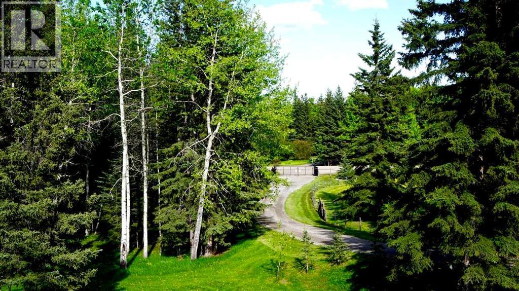 215 Wintergreen Road