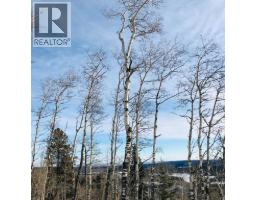 215 Wintergreen Road, Rural Rocky View County, AB T0L0K0 Photo 6