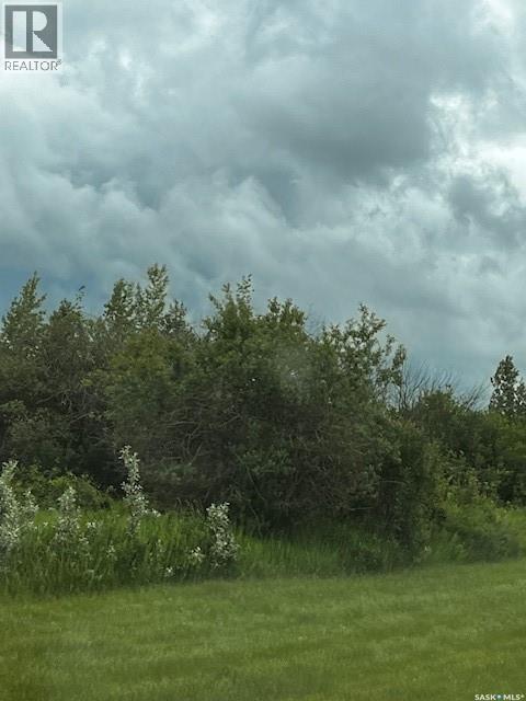 Bassingthwaite acreage - 6