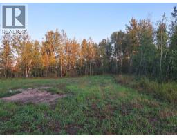 7, 654036 Rge Rd 222, Athabasca, AB T9S2A5 Photo 6