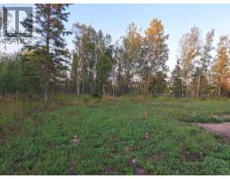 7, 654036 Rge Rd 222, Athabasca, AB T9S2A5 Photo 7
