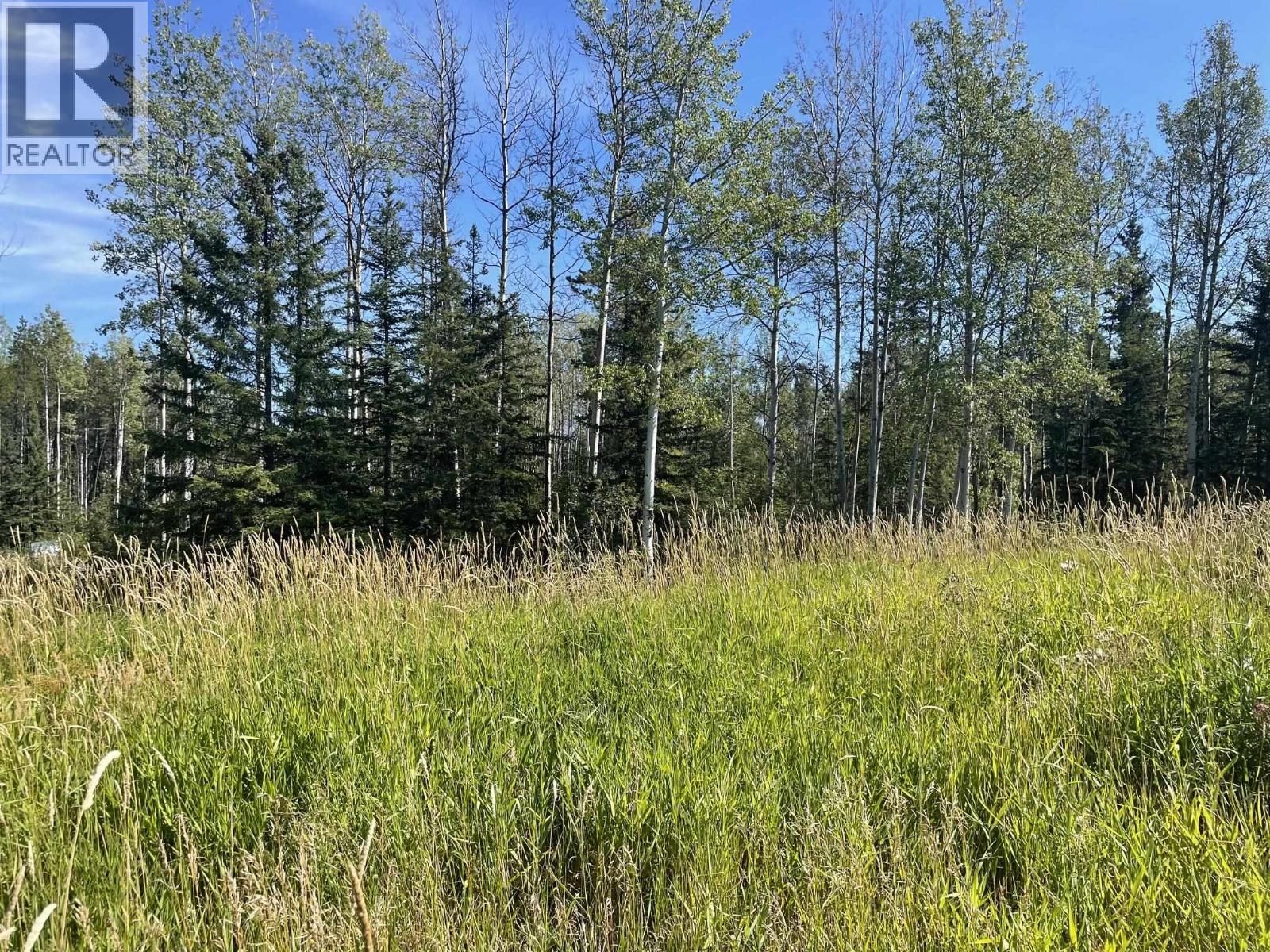 35 RADAR CRESCENT, Fort Nelson