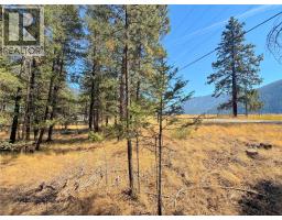 Lot 1 Old Hedley Road, Princeton, BC V0X1W0 Photo 9