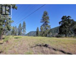 Lot 1 Old Hedley Road, Princeton, BC V0X1W0 Photo 11