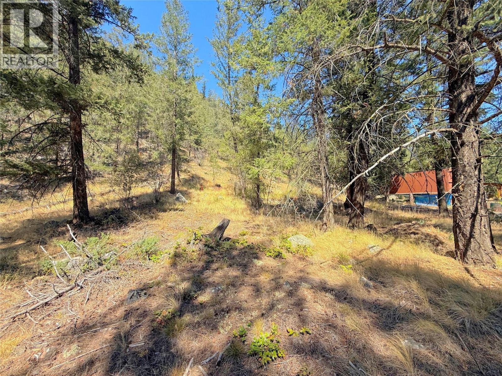 LOT 1 Old Hedley Road, Princeton, British Columbia, V0X1W0, Princeton, British Columbia — photo 4 of 5