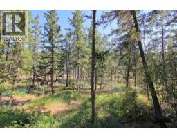 Lot 1 Old Hedley Road, Princeton, BC V0X1W0 Photo 20