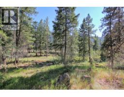 Lot 1 Old Hedley Road, Princeton, BC V0X1W0 Photo 21