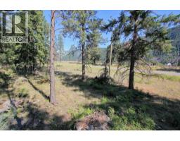 Lot 1 Old Hedley Road, Princeton, BC V0X1W0 Photo 24