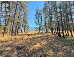 Lot 1 Old Hedley Road, Princeton, BC V0X1W0 Photo 6