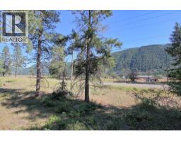 Lot 1 Old Hedley Road, Princeton, BC V0X1W0 Photo 14