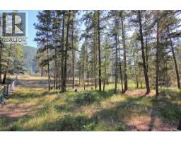 Lot 1 Old Hedley Road, Princeton, BC V0X1W0 Photo 15
