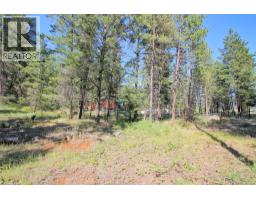 Lot 1 Old Hedley Road, Princeton, BC V0X1W0 Photo 22