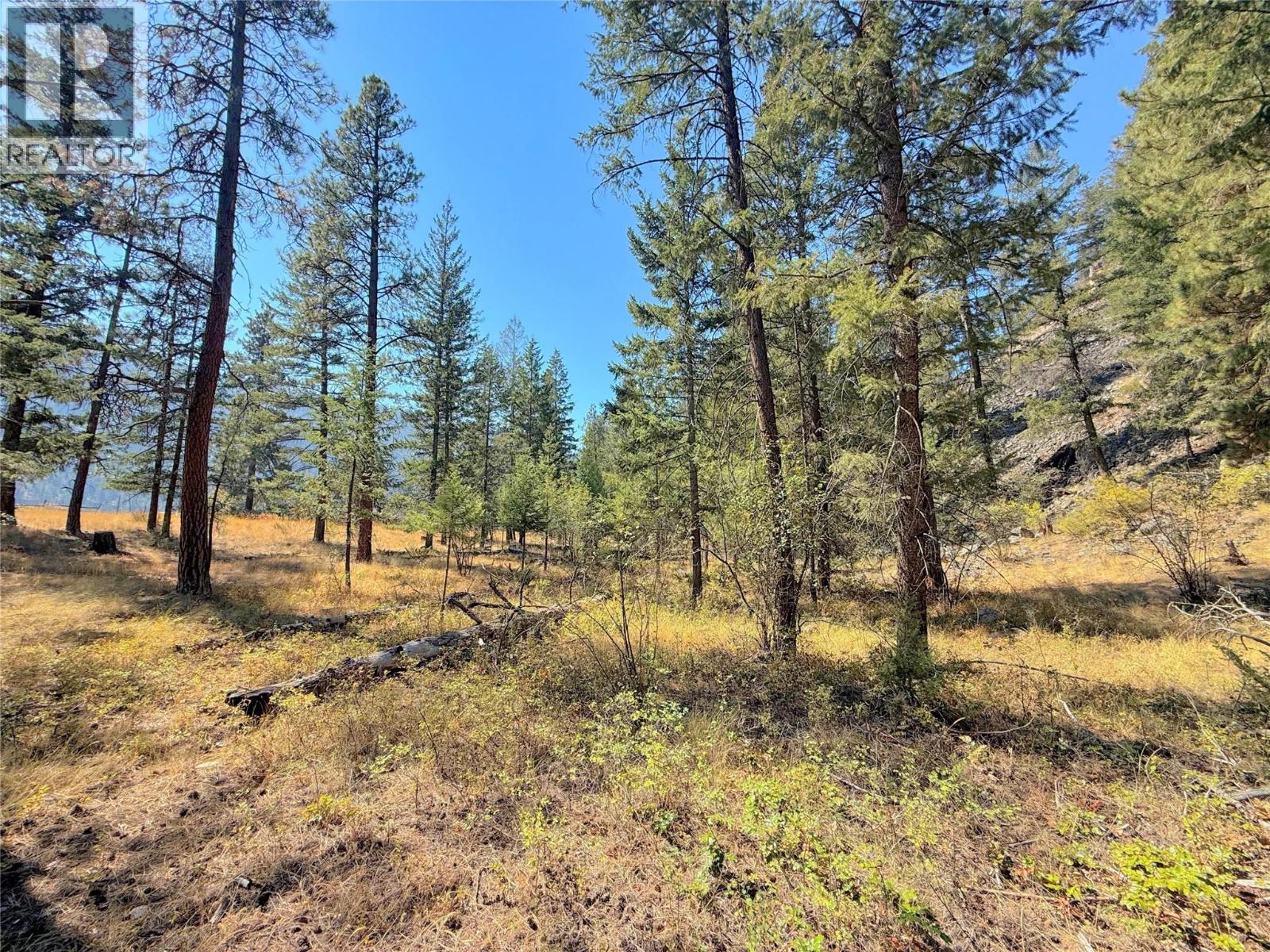 LOT 1 Old Hedley Road, Princeton, British Columbia, V0X1W0, Princeton, British Columbia — photo 5 of 5