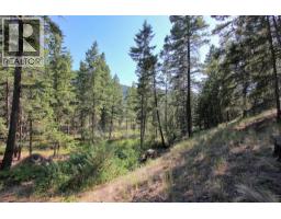 Lot 1 Old Hedley Road, Princeton, BC V0X1W0 Photo 17
